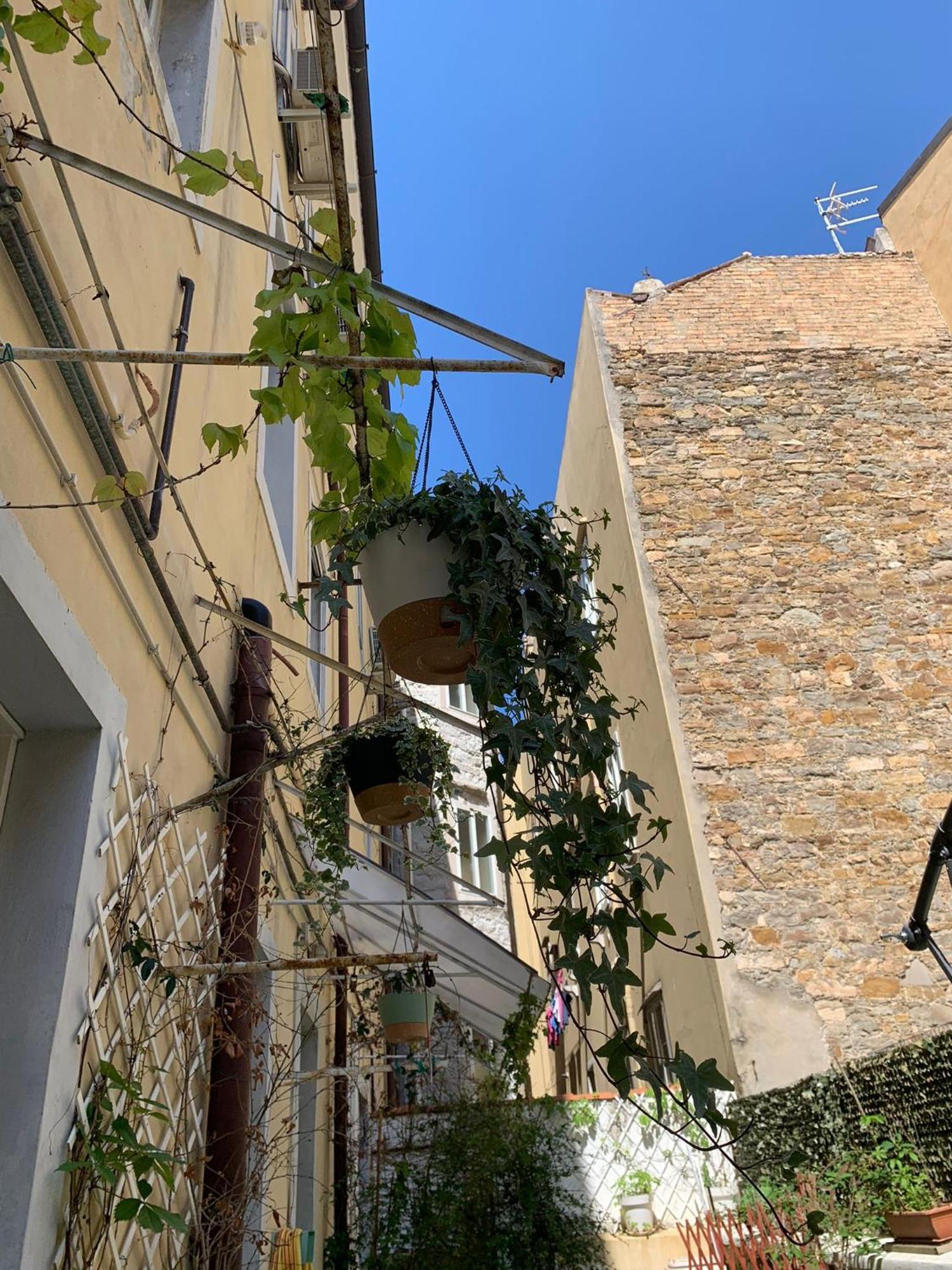 Hotel Smart Accomodation Triest Exterior foto